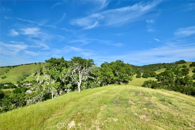 Detail Gallery Image 47 of 51 For 9805 Steelhead Rd, Paso Robles,  CA 93446 - 3 Beds | 3/1 Baths