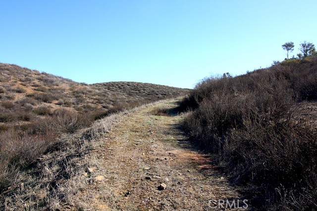 33687 N Sidney Circle, Winchester CA: https://media.crmls.org/medias/036c18b7-017e-44bb-aac5-e3d9990d2758.jpg