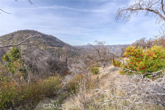 2231 Lumpkin Road, Oroville, California 95966, ,Land,For Sale,2231 Lumpkin Road,CRSN23227176