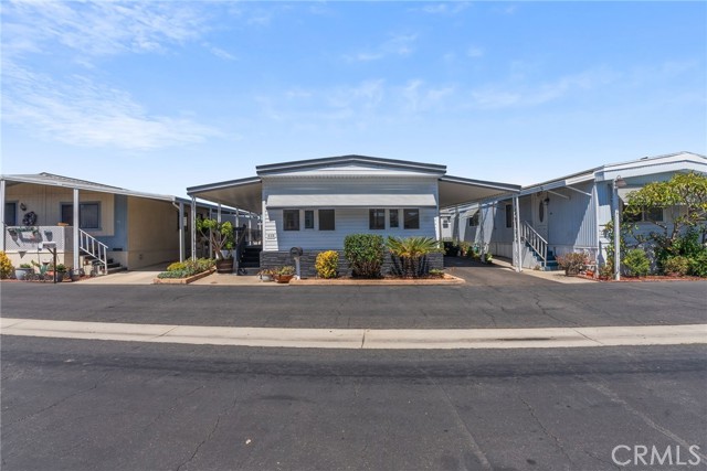 Front Image Thumbnail for CROC25271681