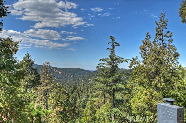 Detail Gallery Image 31 of 43 For 23796 Crest Forest Dr, Crestline,  CA 92325 - 4 Beds | 3 Baths