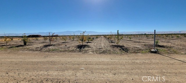 Detail Gallery Image 1 of 3 For 0 Gardner Rd, Maricopa,  CA 93268 - – Beds | – Baths