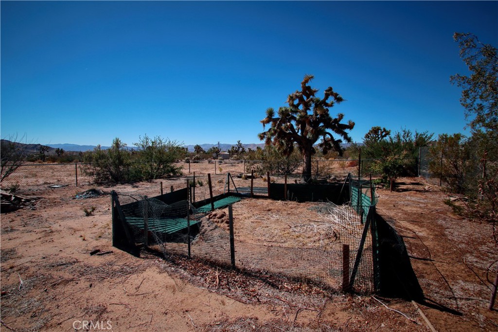 MLS #JT25220711 image #31