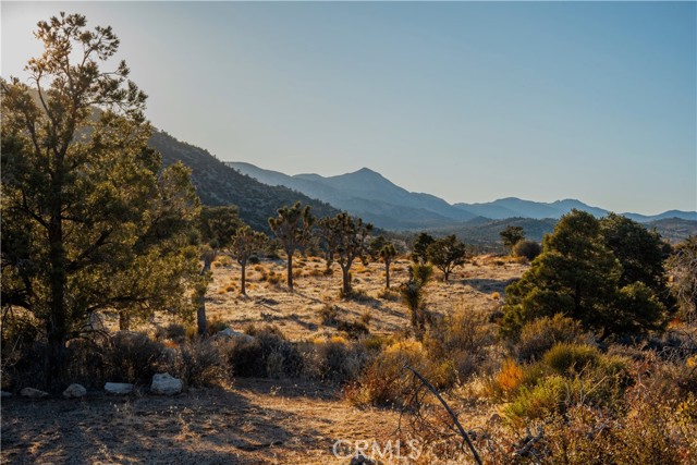 48317 Burns Canyon Road, Pioneertown CA: https://media.crmls.org/medias/037ad84e-8335-493f-9ac0-ef1fe5a52ee7.jpg