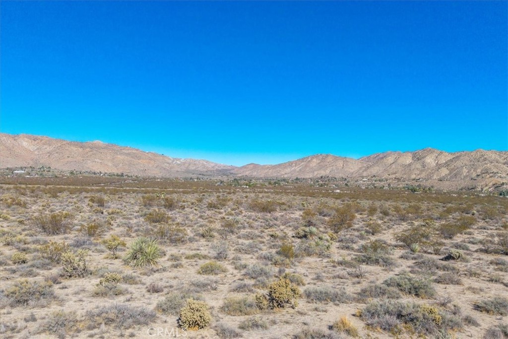 MLS #JT25257791 image #21