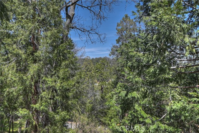 24032 Alpine Drive, Crestline, CA 92325