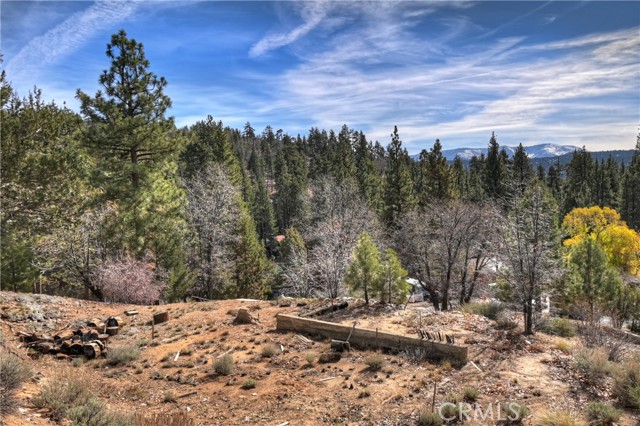 Detail Gallery Image 19 of 24 For 1115 Fawnskin Dr, Fawnskin,  CA 92333 - – Beds | – Baths