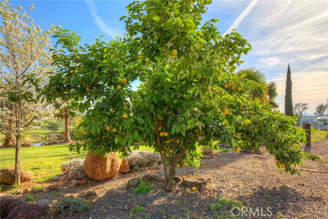 Detail Gallery Image 64 of 71 For 3929 Pardes Way, Paradise,  CA 95969 - 4 Beds | 3 Baths