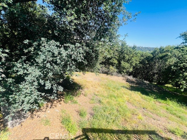 Detail Gallery Image 31 of 75 For 8697 Fraguero Rd, Sonora,  CA 95370 - 4 Beds | 2/1 Baths