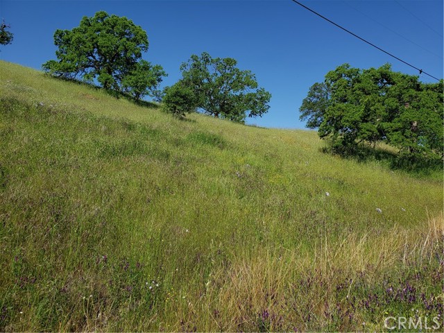 9767 Mirasol Way, La Grange, California 95329, ,Land,For Sale,9767 Mirasol Way,CRMC23065015