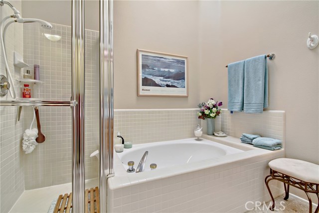 Master bath and tub.