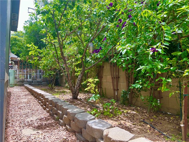 GARDEN / FRUIT TREES