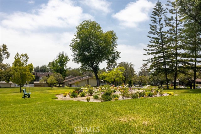 Detail Gallery Image 36 of 42 For 13526 La Jolla Cir #207-D,  La Mirada,  CA 90638 - 2 Beds | 2 Baths