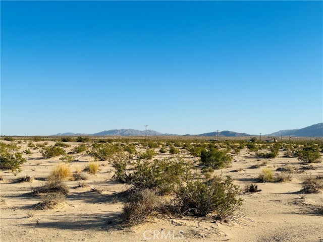 1234 Raymond Drive, Twentynine Palms, California 92277, ,Land,For Sale,1234 Raymond Drive,CRJT23207412