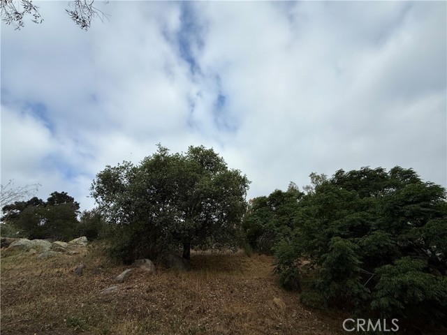 1233 Bonita Way, El Cajon CA: https://media.crmls.org/medias/038d702e-4d6b-4e0e-a43c-c07f794076b9.jpg