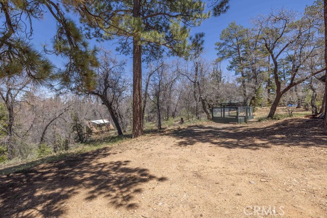 Detail Gallery Image 42 of 47 For 1240 Sheephorn Rd, Big Bear City,  CA 92314 - 3 Beds | 2 Baths