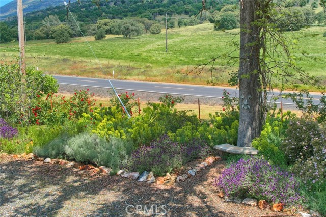 Detail Gallery Image 9 of 70 For 6505 State Highway 49, Mariposa,  CA 95338 - 3 Beds | 2 Baths