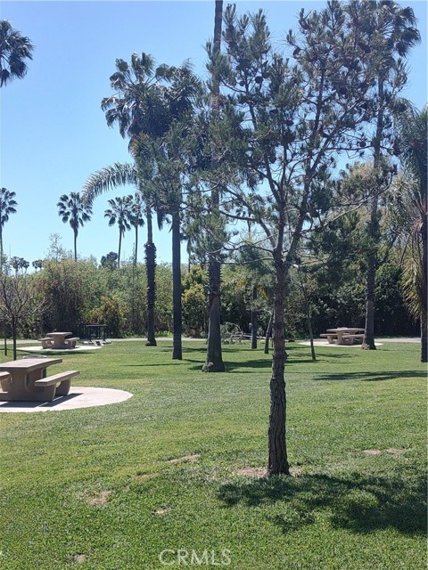 Another of nearby park