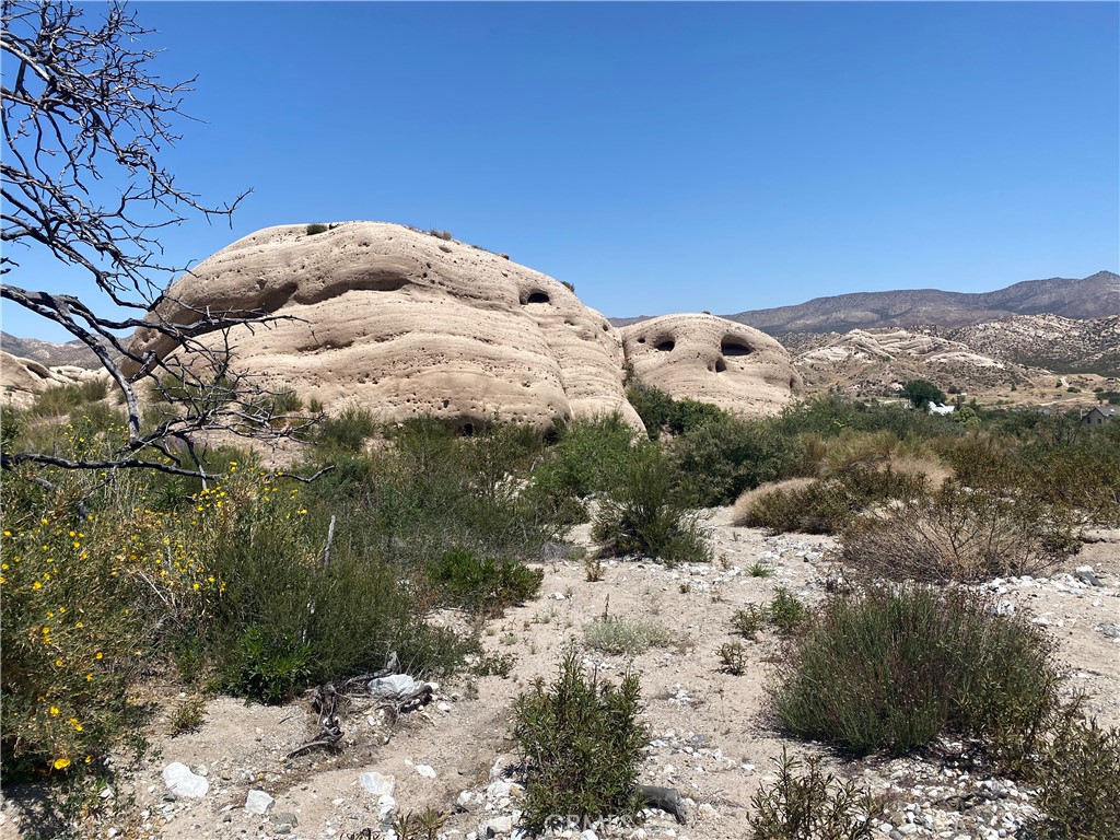 MLS #SW25101394 image #4