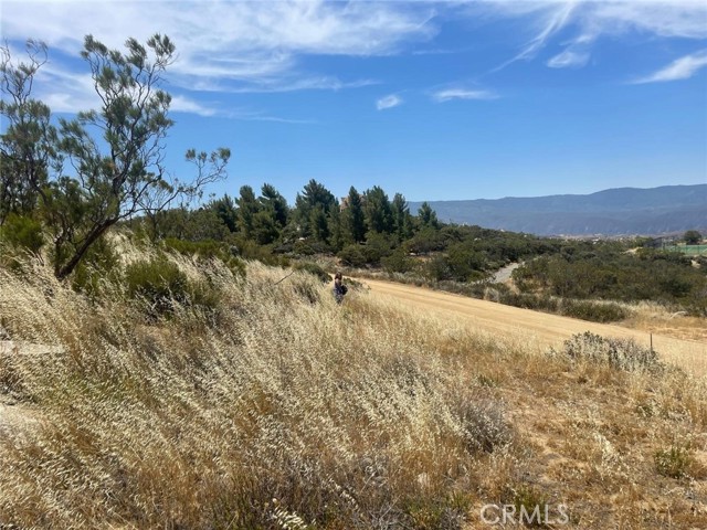 0 Roan Way, Aguanga CA: https://media.crmls.org/medias/039ad70b-f06f-48aa-ab42-df4177553b6b.jpg