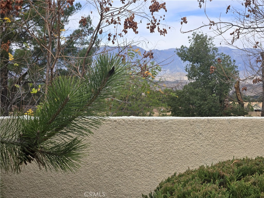 MLS #IG25256757 image #25