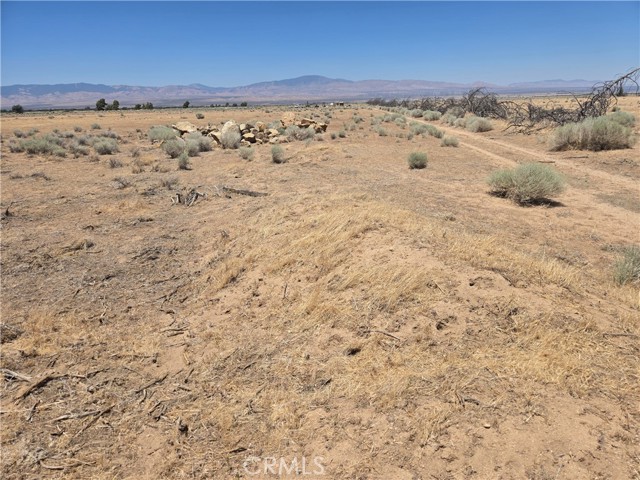 Detail Gallery Image 11 of 12 For 177 Stw Ave E-8 Vic, Lancaster,  CA 93536 - – Beds | – Baths