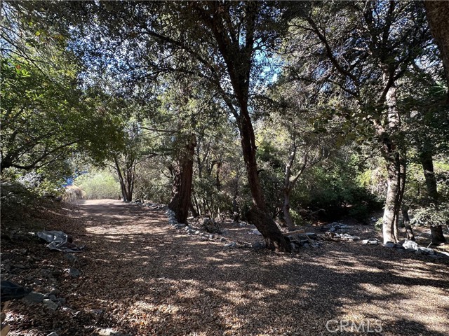 Detail Gallery Image 31 of 32 For 49 Ice House Canyon Rd, Mt Baldy,  CA 91759 - 1 Beds | 1 Baths