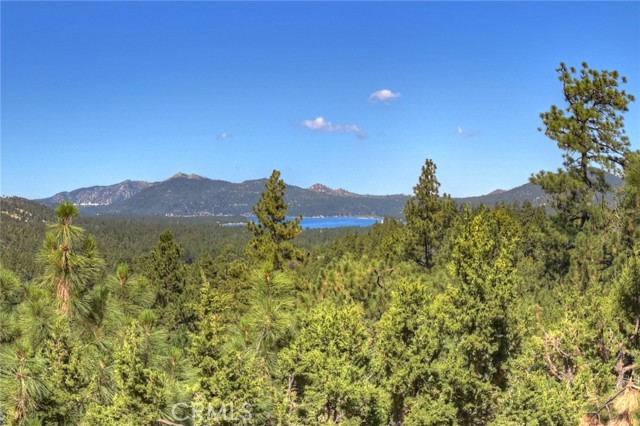 Detail Gallery Image 37 of 46 For 43659 Wolf Rd, Big Bear Lake,  CA 92315 - 4 Beds | 2 Baths