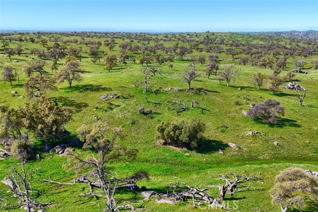 Detail Gallery Image 15 of 19 For 0 39.89 Ac Road 613, Raymond,  CA 93653 - – Beds | – Baths