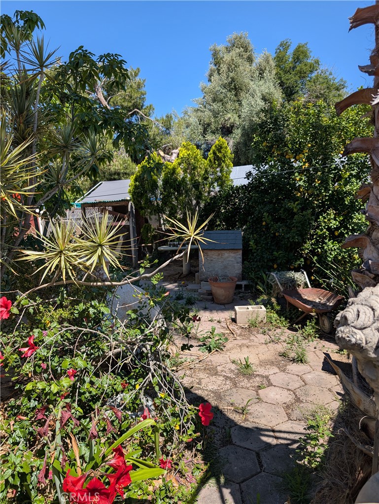 MLS #IV25264547 image #19