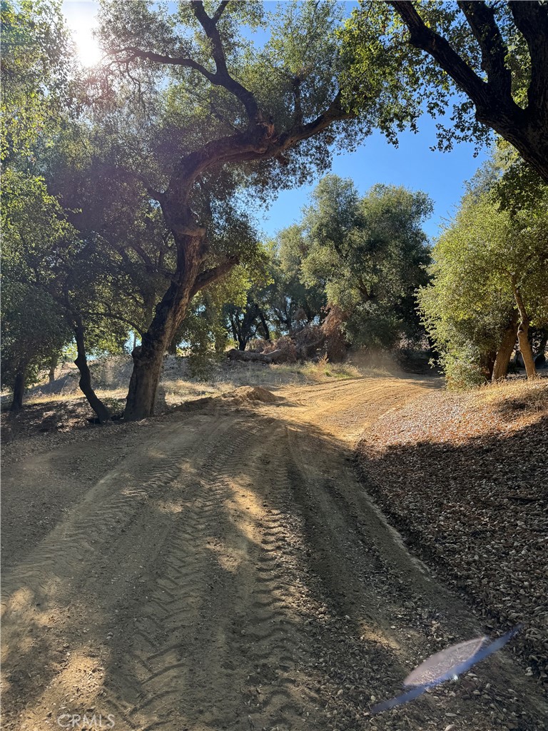 MLS #OC25262578 image #16