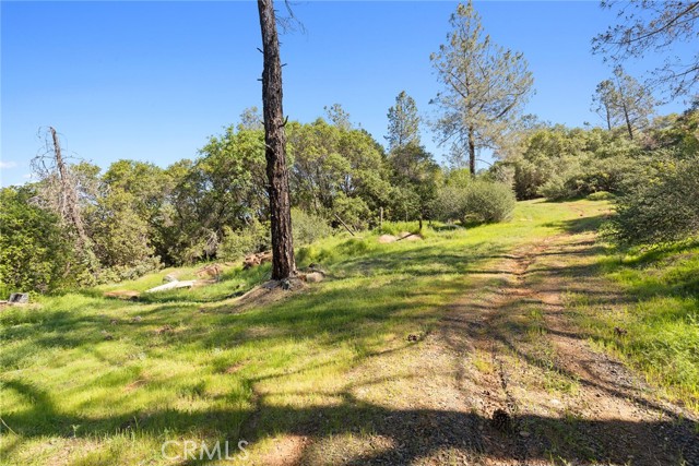 Detail Gallery Image 4 of 20 For 0 Louise, Oroville,  CA 95965 - – Beds | – Baths