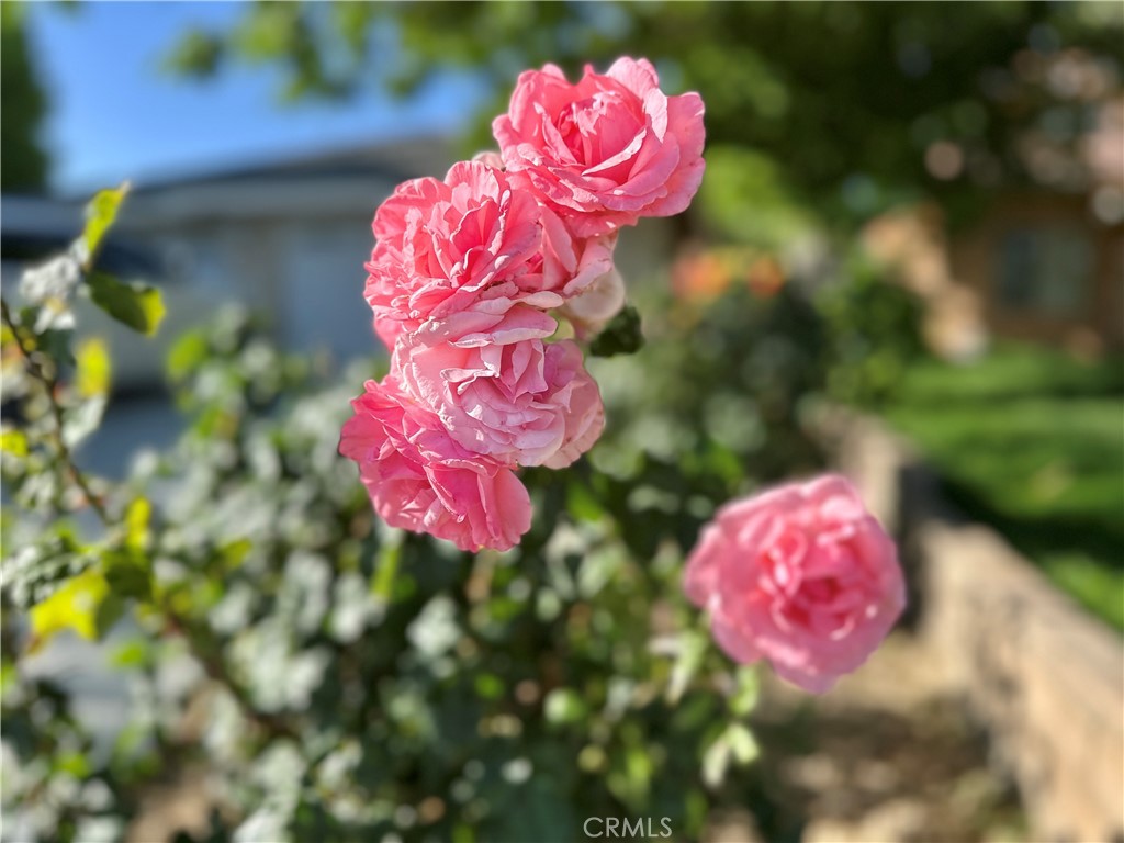 https://media.crmls.org/medias/03b064db-01f6-449b-80be-a57993fd6d36.jpg?preset=X-Large