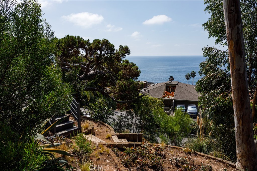 31293 Holly Drive