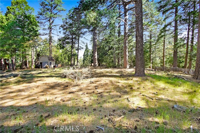Detail Gallery Image 7 of 20 For 0 Pine Ridge Rd, Idyllwild,  CA 92548 - – Beds | – Baths