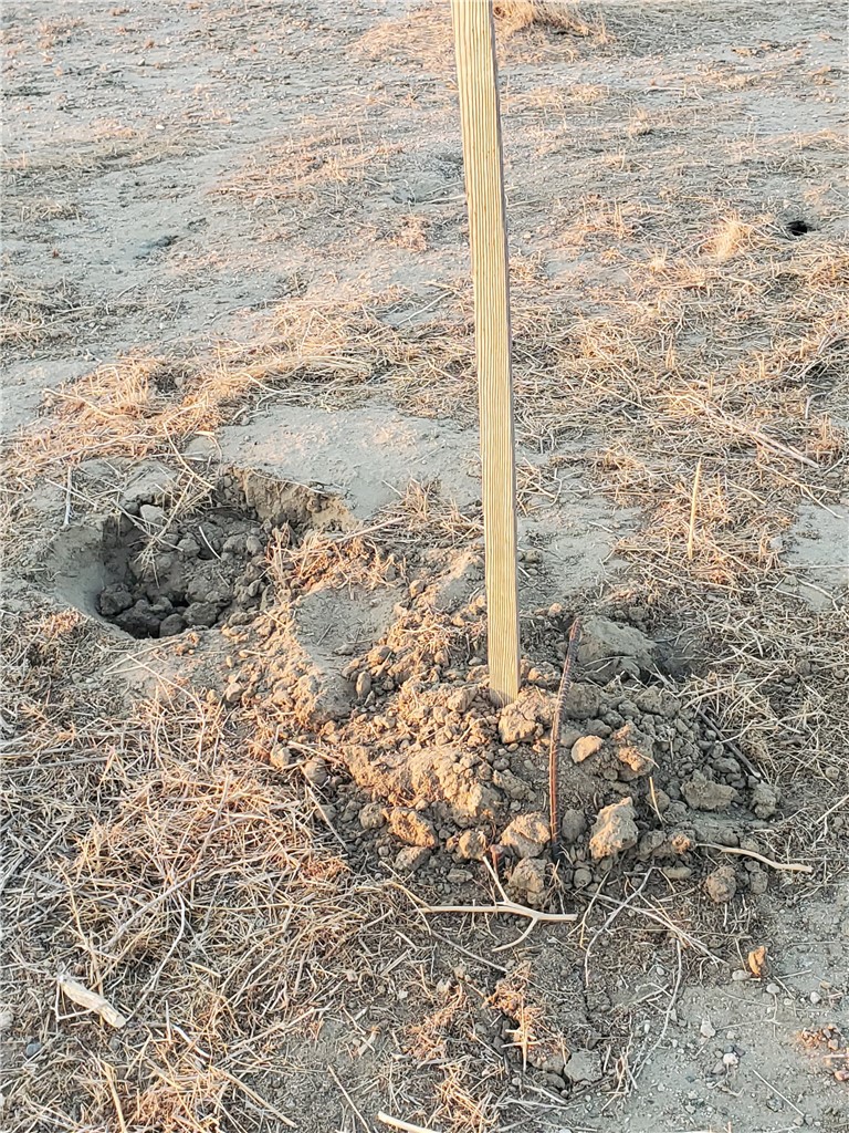 MLS #DW25252980 image #12