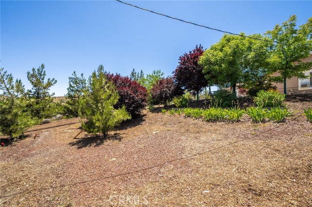 Detail Gallery Image 26 of 38 For 7575 Rancho Rd, Pinon Hills,  CA 92372 - 4 Beds | 3 Baths