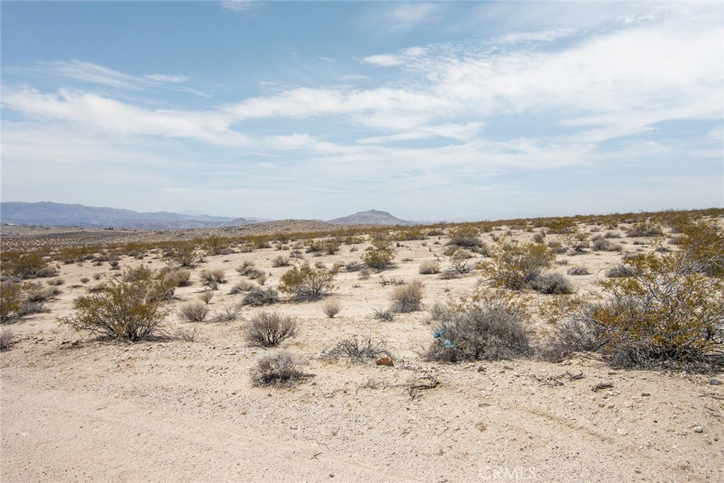 MLS #JT25181057 image #13