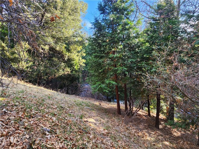0 Basel Drive, Crestline CA: https://media.crmls.org/medias/03e1e634-ad21-431a-94ab-7a44f0f2a58d.jpg