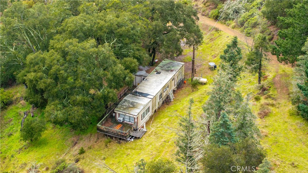 3395 Wallace Mountain Road