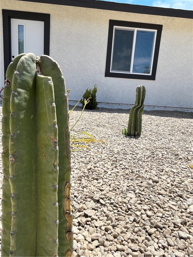 https://media.crmls.org/medias/03e83784-c47c-4e1f-a478-840e75682706.jpg?preset=X-Large