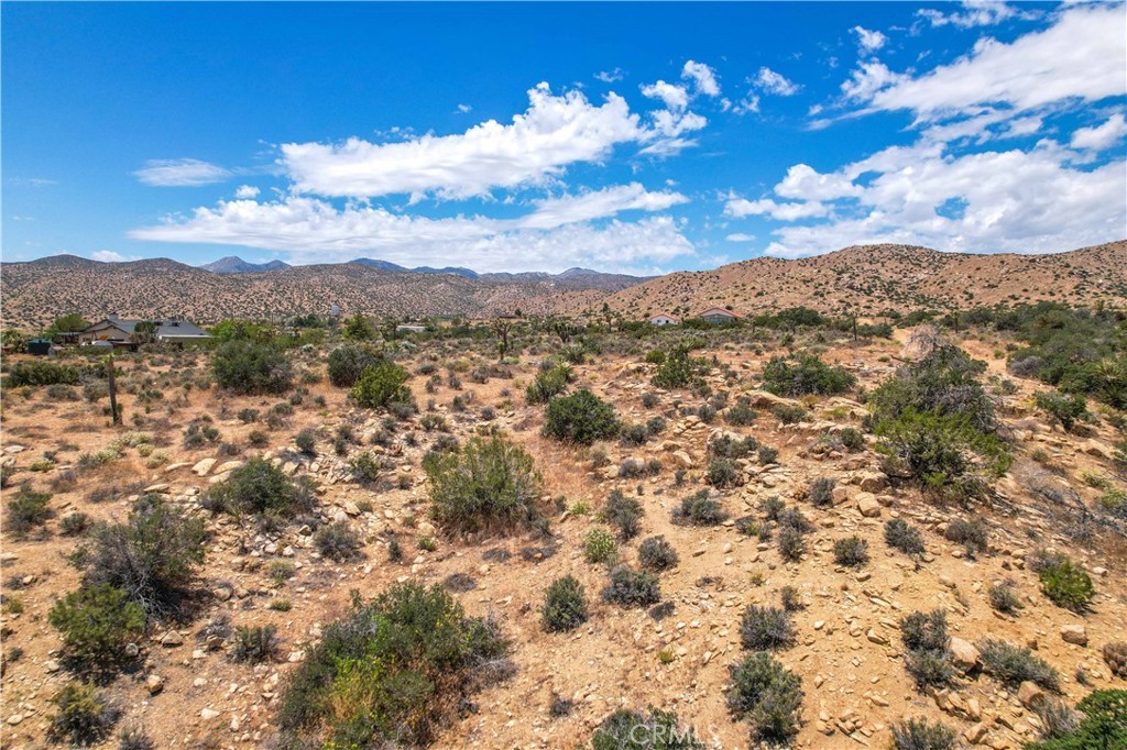 MLS #JT25246603 image #21