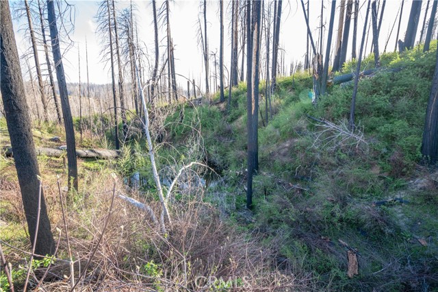 Detail Gallery Image 49 of 51 For 4908 Deerwood Ct, Grizzly Flats,  CA 95636 - 2 Beds | 2 Baths
