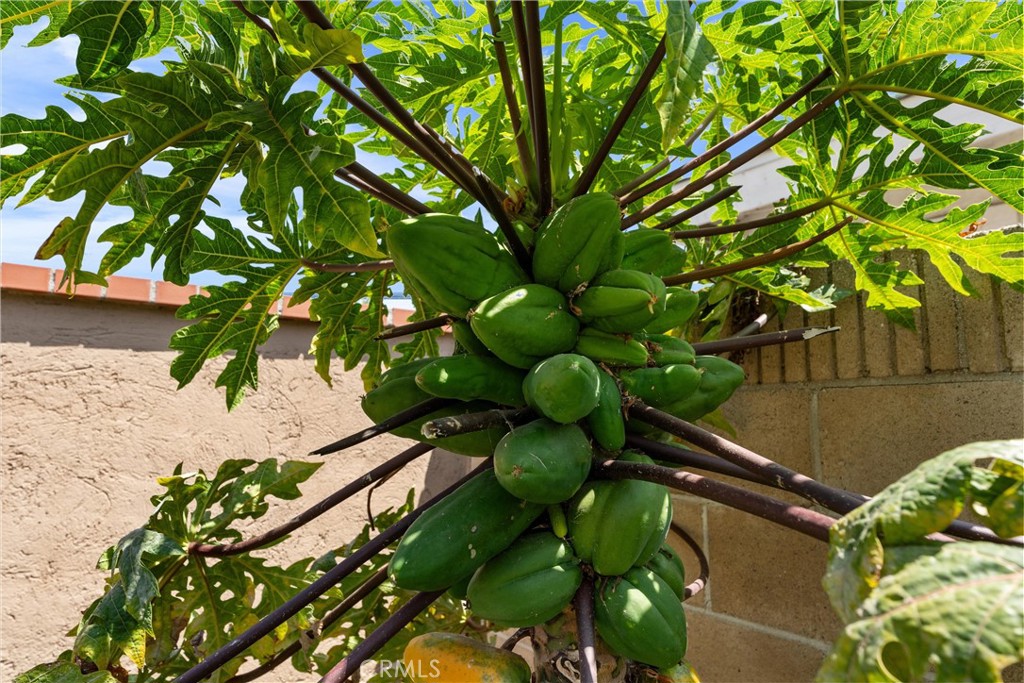 https://media.crmls.org/medias/03f26ac5-a898-4849-85ff-6397feacc262.jpg?preset=X-Large