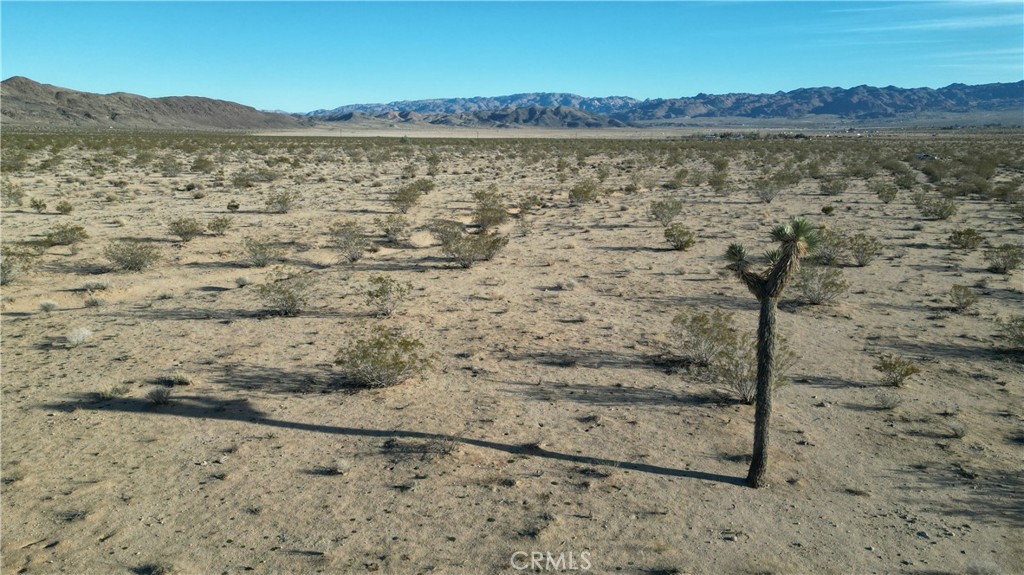 MLS #SB24059468 image #4