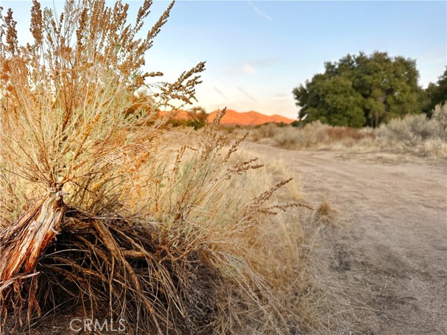 Detail Gallery Image 34 of 75 For 30415 Chihuahua Valley Rd, Warner Springs,  CA 92086 - 1 Beds | 1 Baths