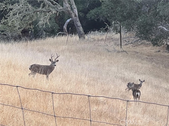 10755 Santa Ana Road, Atascadero CA: https://media.crmls.org/medias/03fdb342-a955-4b23-a413-f37dc1f68be0.jpg