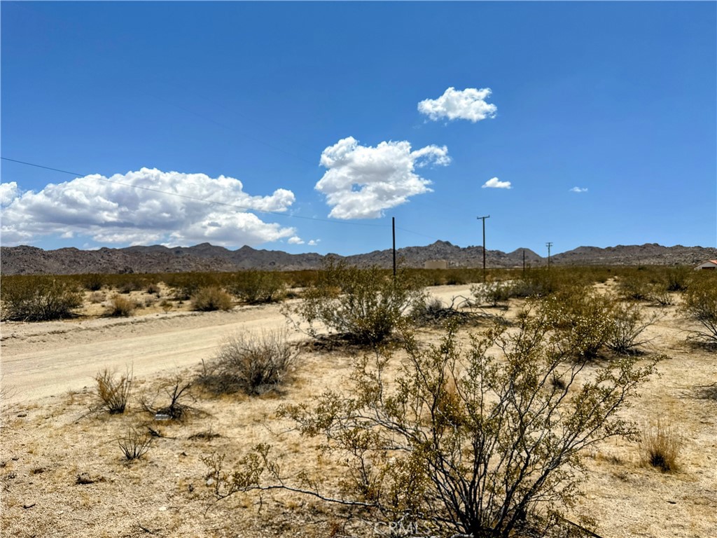 MLS #JT25125865 image #3