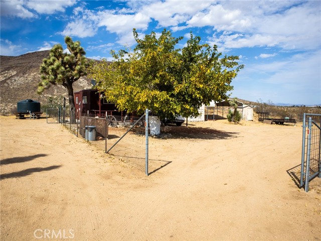 54850 Saratoga Road, Yucca Valley CA: https://media.crmls.org/medias/03fe7b74-584d-4865-87de-8027dd87e4ad.jpg