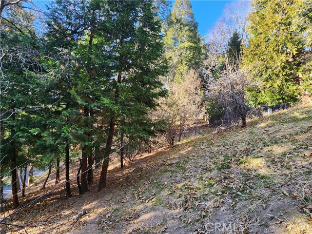 0 Basel Drive, Crestline CA: https://media.crmls.org/medias/03ff5e33-fa92-468b-921b-82b3b89259fb.jpg